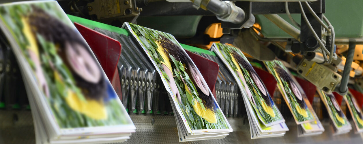 Top Printing Services